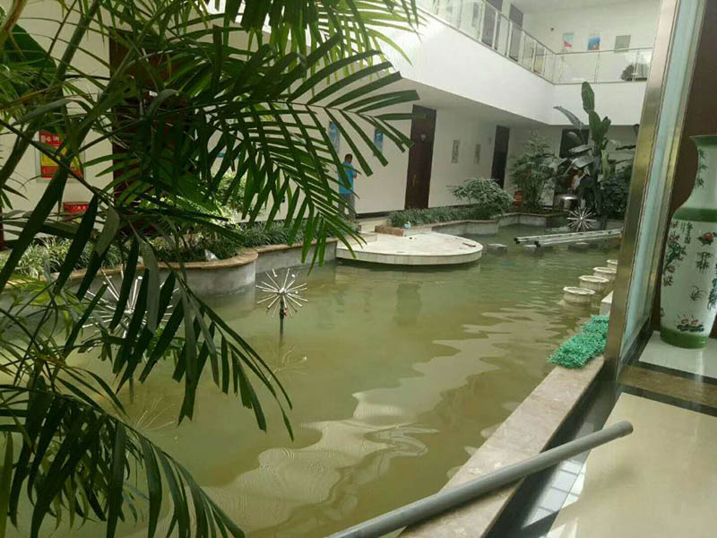 煙臺魚池水處理水凈化水循環(huán)設(shè)備