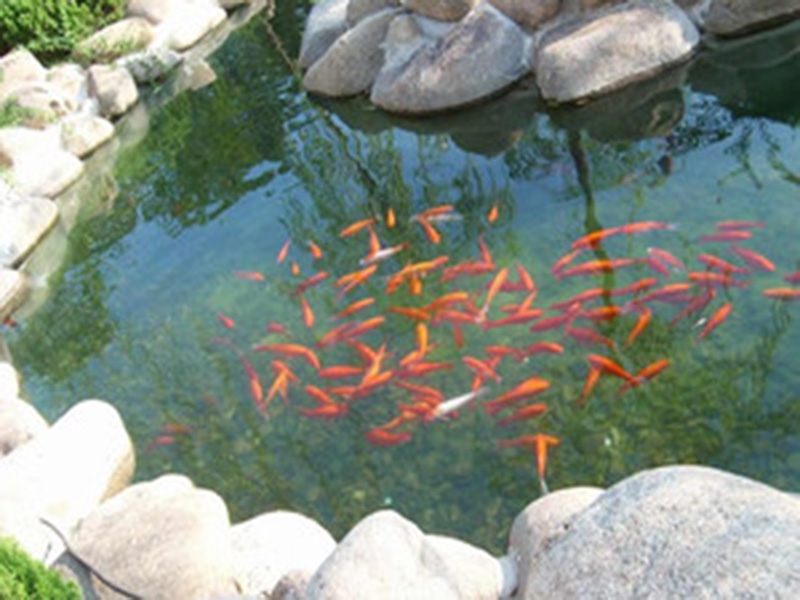 YSFY-900循環(huán)水設(shè)備