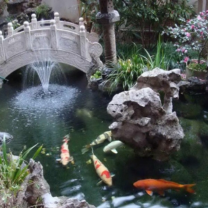 全自動過濾消毒系統(tǒng)