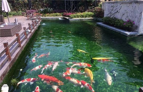 污水處理行業(yè)前景分析